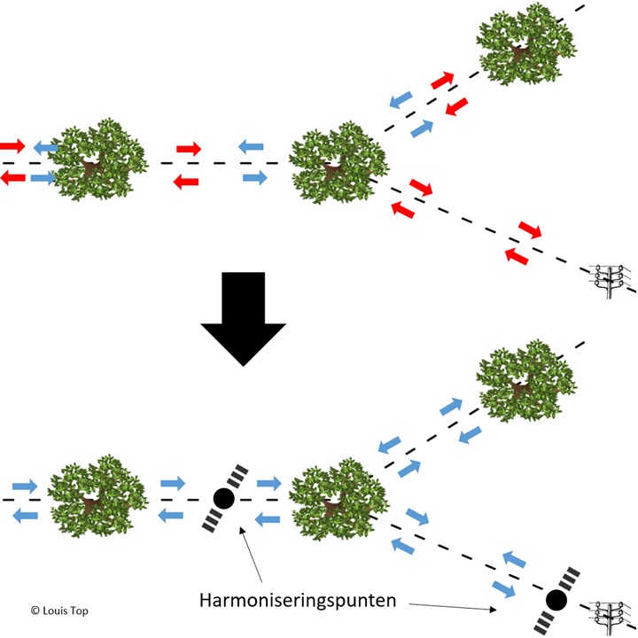 harmonisatiesysteem boom